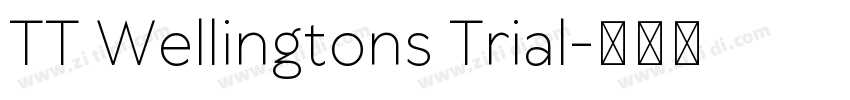 TT Wellingtons Trial字体转换